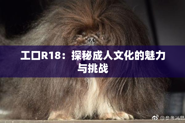 工口R18：探秘成人文化的魅力与挑战