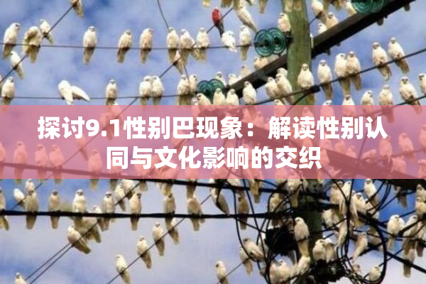 探讨9.1性别巴现象：解读性别认同与文化影响的交织