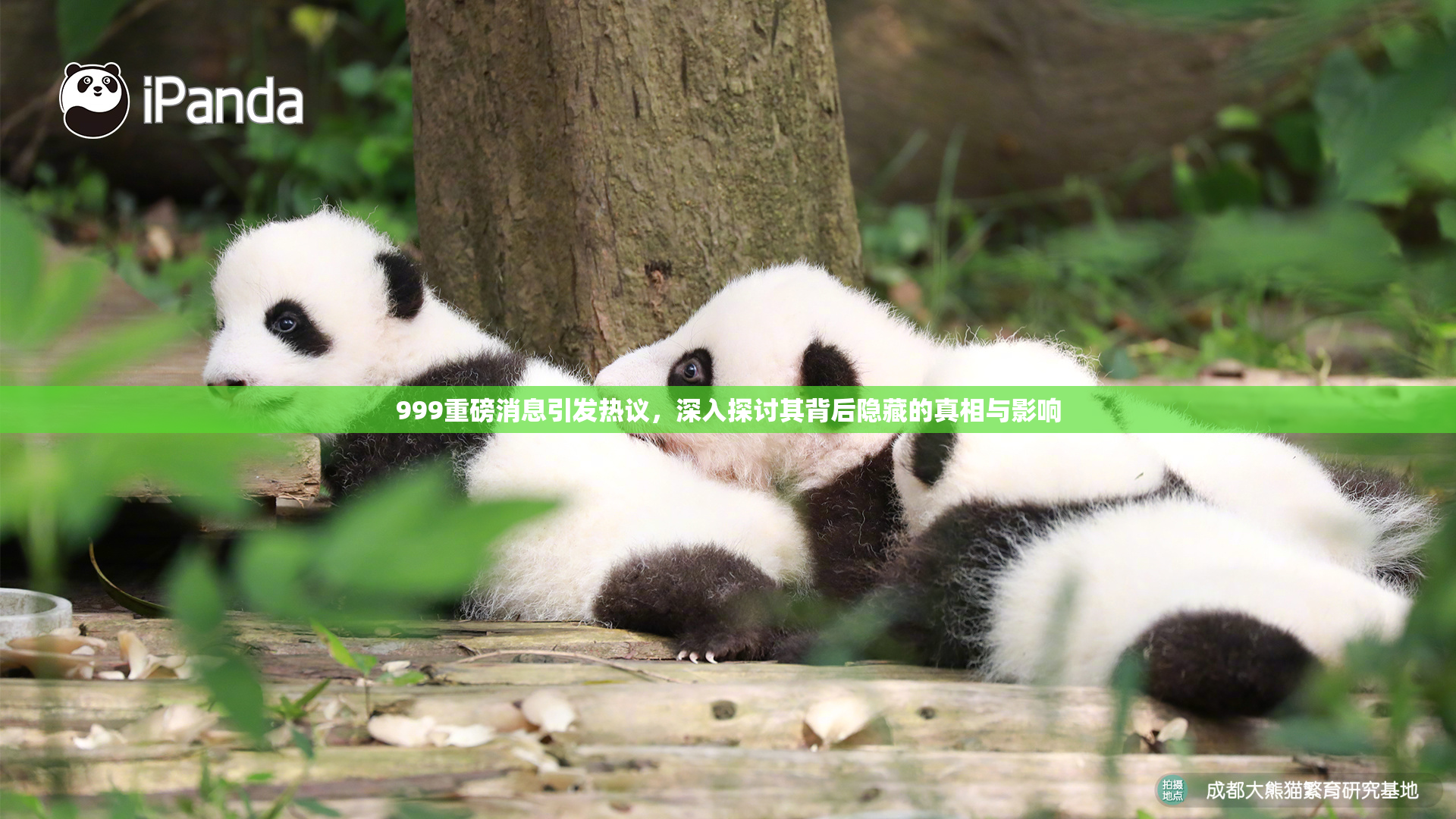 999重磅消息引发热议，深入探讨其背后隐藏的真相与影响