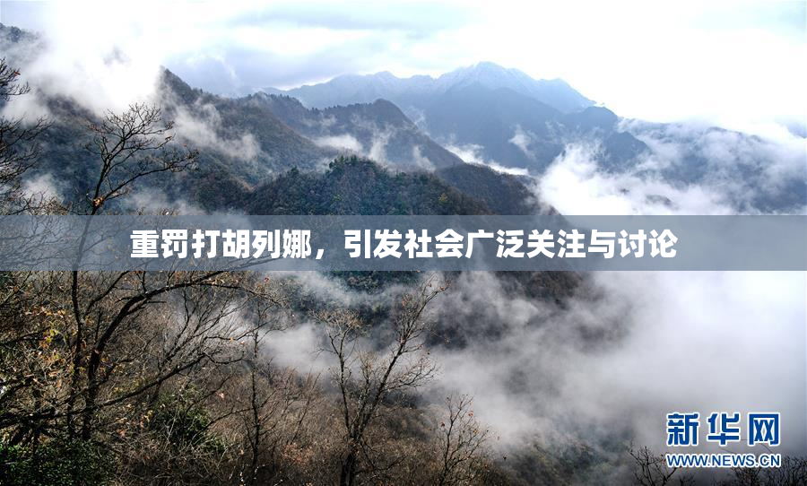 重罚打胡列娜，引发社会广泛关注与讨论
