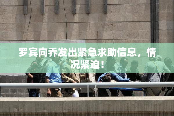 罗宾向乔发出紧急求助信息，情况紧迫！