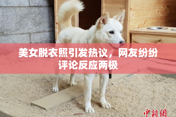 美女脱衣照引发热议，网友纷纷评论反应两极