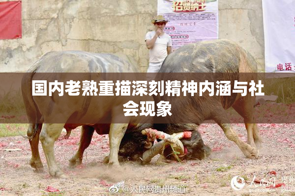 国内老熟重描深刻精神内涵与社会现象