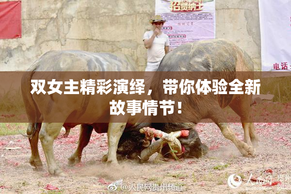 双女主精彩演绎，带你体验全新故事情节！