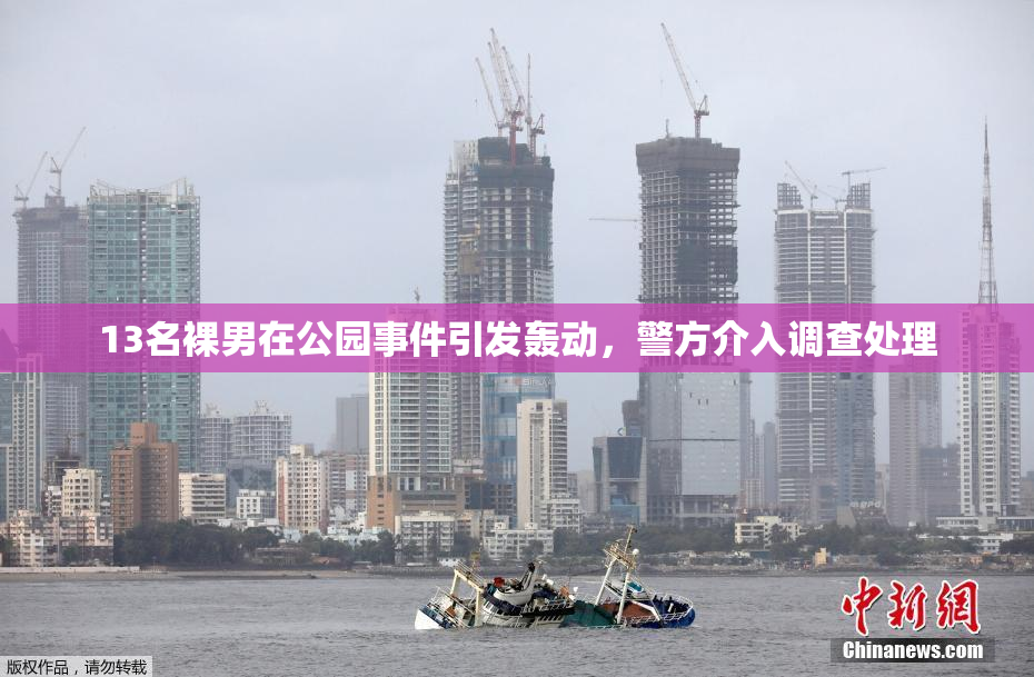 13名裸男在公园事件引发轰动，警方介入调查处理