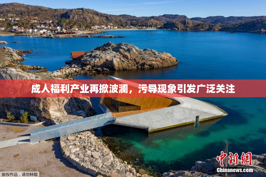 成人福利产业再掀波澜，污导现象引发广泛关注