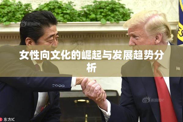 女性向文化的崛起与发展趋势分析