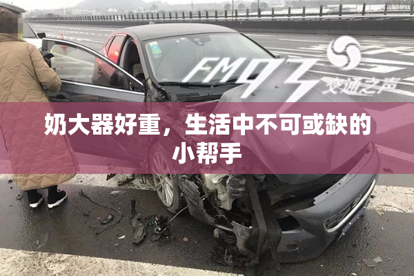 奶大器好重，生活中不可或缺的小帮手