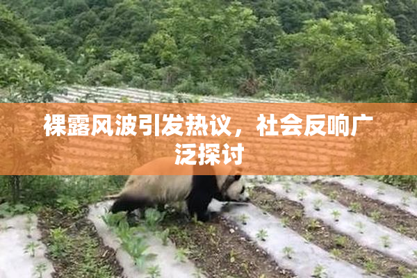 裸露风波引发热议，社会反响广泛探讨