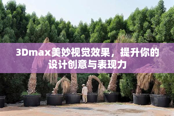 3Dmax美妙视觉效果，提升你的设计创意与表现力