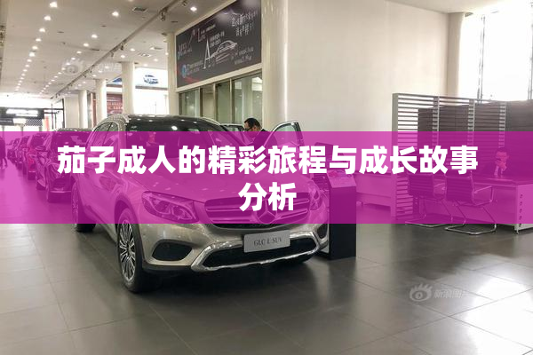 茄子成人的精彩旅程与成长故事分析