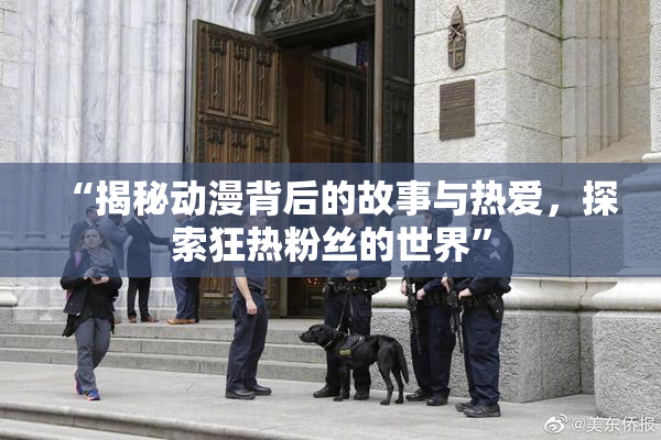 “揭秘动漫背后的故事与热爱，探索狂热粉丝的世界”