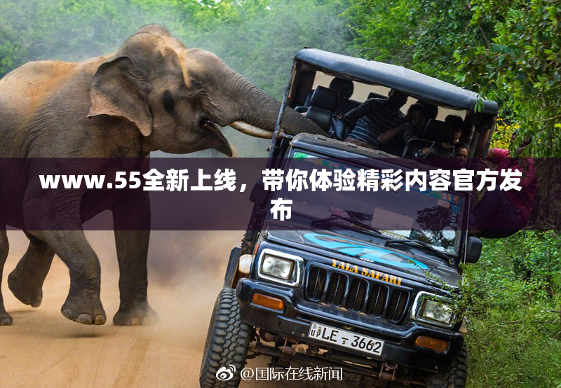 www.55全新上线，带你体验精彩内容官方发布