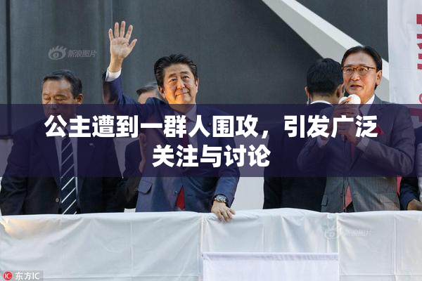 公主遭到一群人围攻，引发广泛关注与讨论