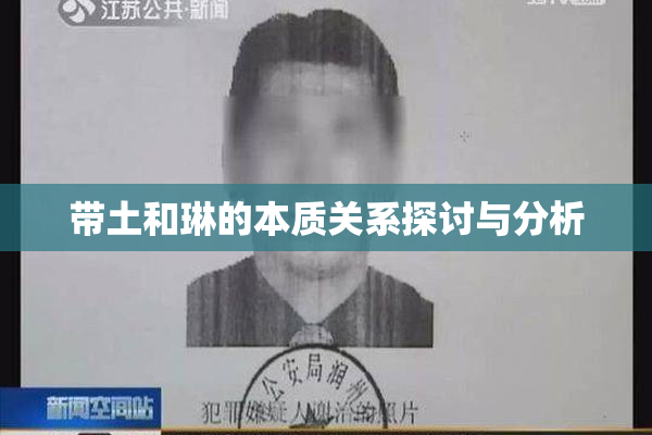 带土和琳的本质关系探讨与分析