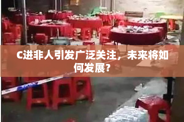 C进非人引发广泛关注，未来将如何发展？