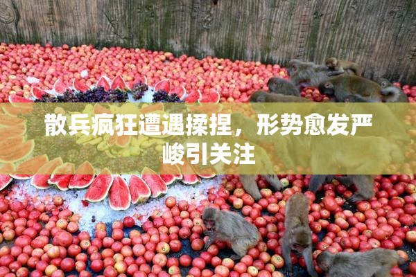 散兵疯狂遭遇揉捏，形势愈发严峻引关注