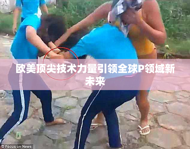 欧美顶尖技术力量引领全球P领域新未来