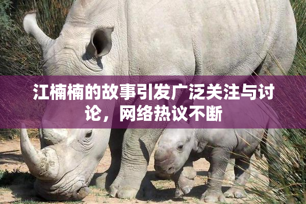 江楠楠的故事引发广泛关注与讨论，网络热议不断