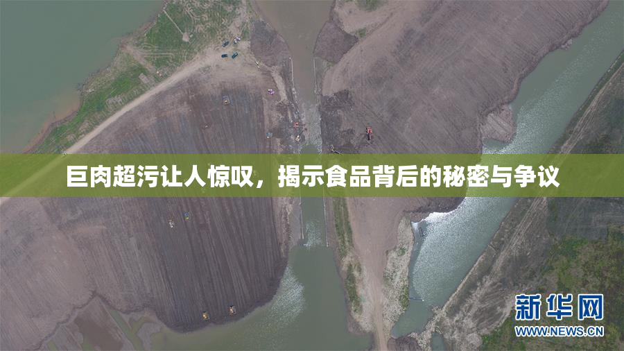 巨肉超污让人惊叹，揭示食品背后的秘密与争议