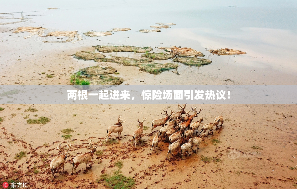 两根一起进来，惊险场面引发热议！
