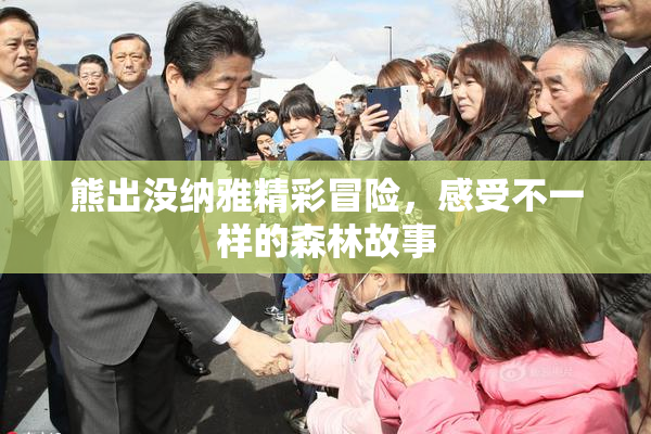 熊出没纳雅精彩冒险，感受不一样的森林故事