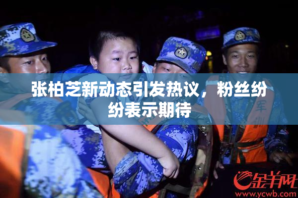 张柏芝新动态引发热议，粉丝纷纷表示期待