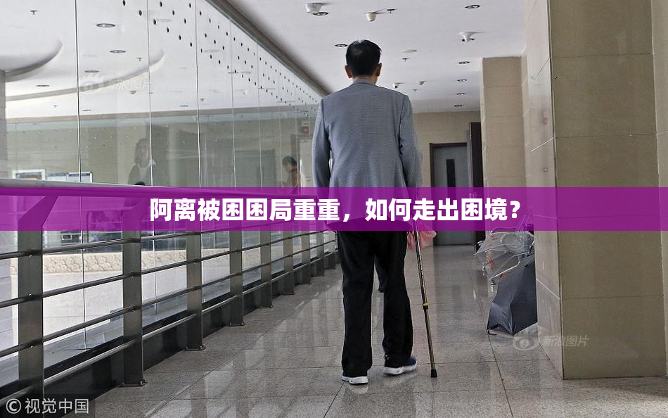 阿离被困困局重重，如何走出困境？