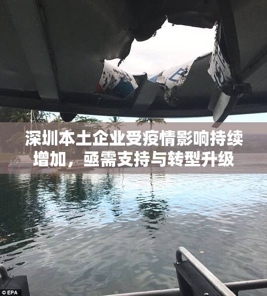 深圳本土企业受疫情影响持续增加，亟需支持与转型升级