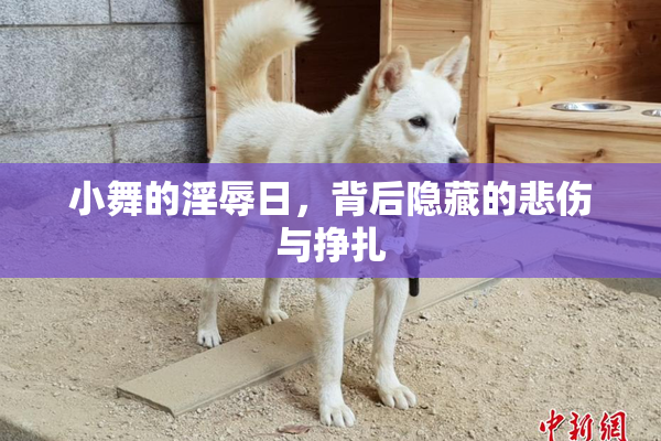 小舞的淫辱日，背后隐藏的悲伤与挣扎