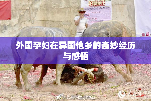 外国孕妇在异国他乡的奇妙经历与感悟