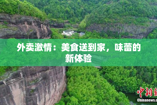 外卖激情：美食送到家，味蕾的新体验