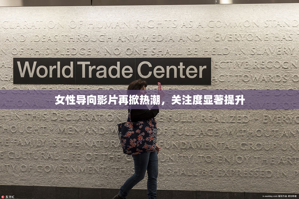 女性导向影片再掀热潮，关注度显著提升
