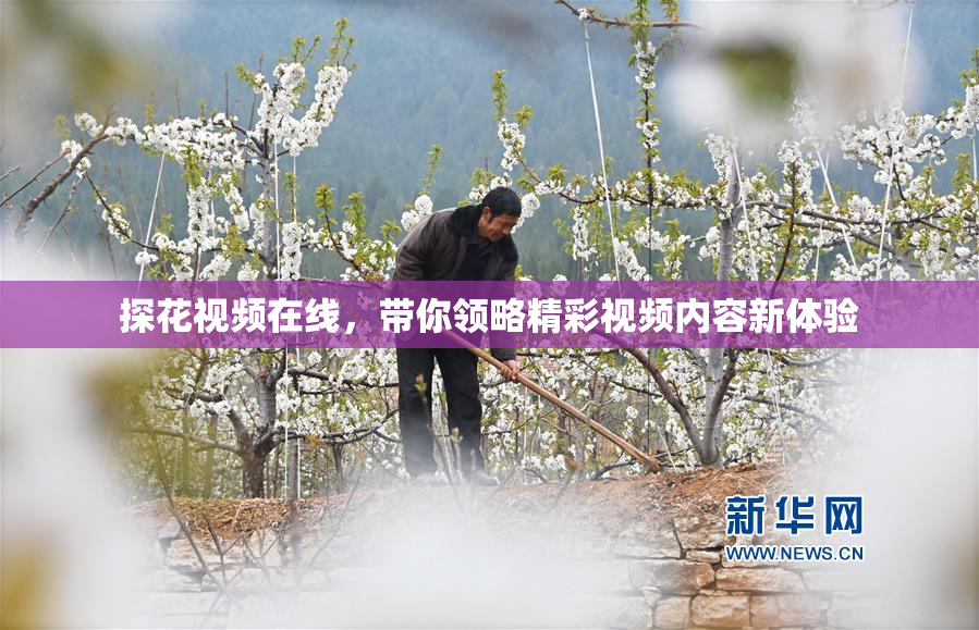 探花视频在线，带你领略精彩视频内容新体验