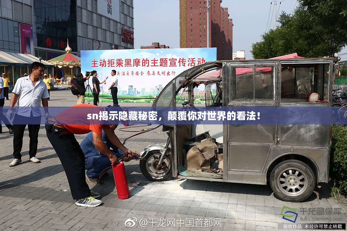 sn揭示隐藏秘密，颠覆你对世界的看法！