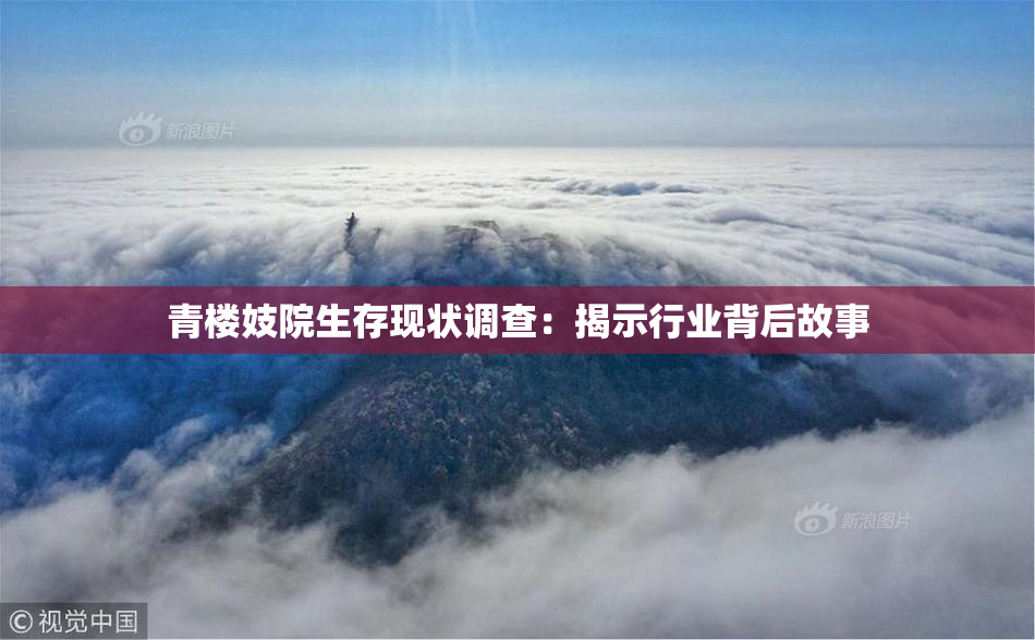 青楼妓院生存现状调查：揭示行业背后故事