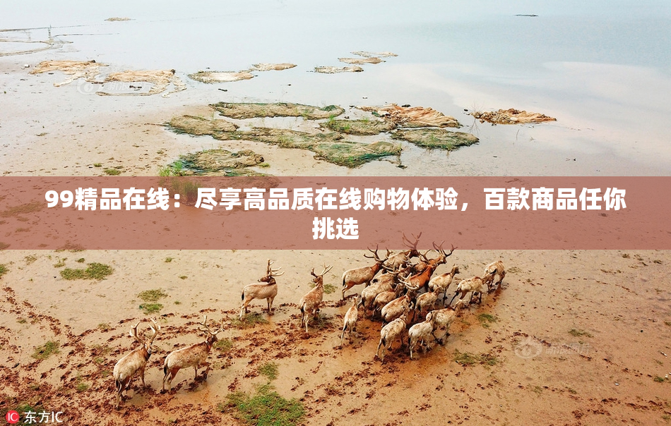99精品在线：尽享高品质在线购物体验，百款商品任你挑选
