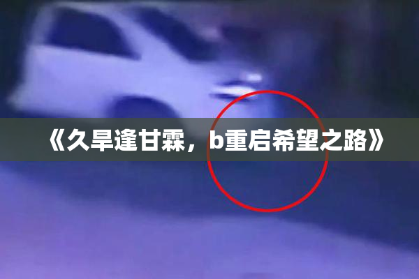 《久旱逢甘霖，b重启希望之路》