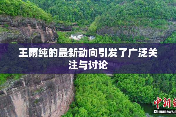 王雨纯的最新动向引发了广泛关注与讨论