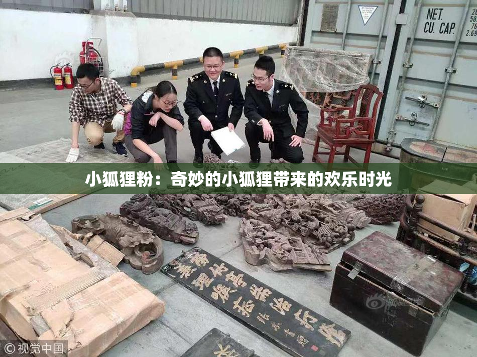 小狐狸粉：奇妙的小狐狸带来的欢乐时光