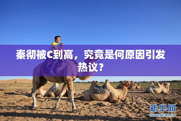 秦彻被C到高，究竟是何原因引发热议？