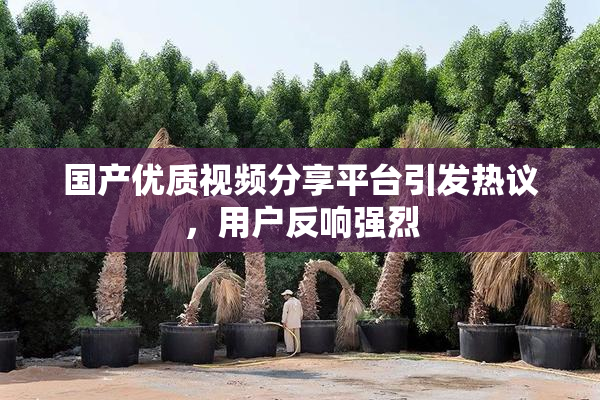 国产优质视频分享平台引发热议，用户反响强烈