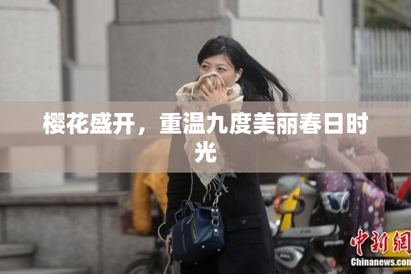 樱花盛开，重温九度美丽春日时光