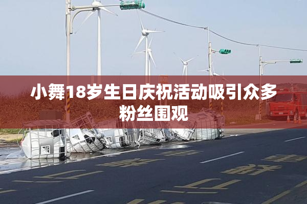小舞18岁生日庆祝活动吸引众多粉丝围观