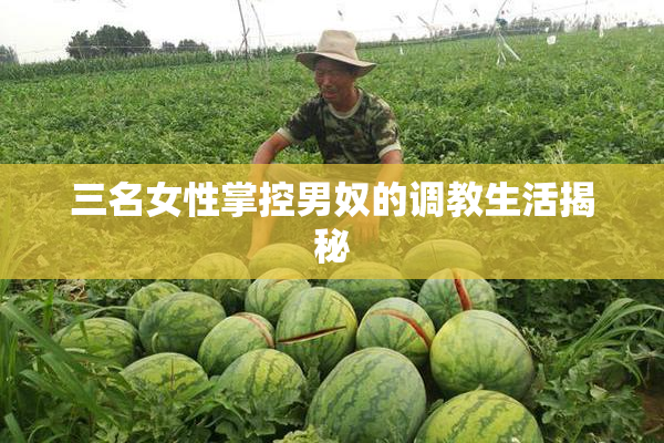 三名女性掌控男奴的调教生活揭秘