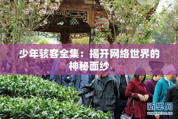 少年骇客全集：揭开网络世界的神秘面纱