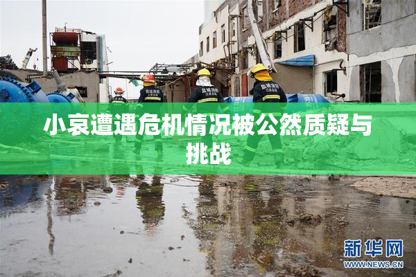 小哀遭遇危机情况被公然质疑与挑战