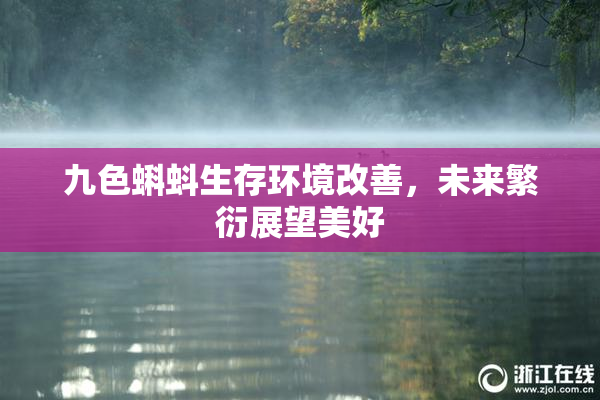 九色蝌蚪生存环境改善，未来繁衍展望美好