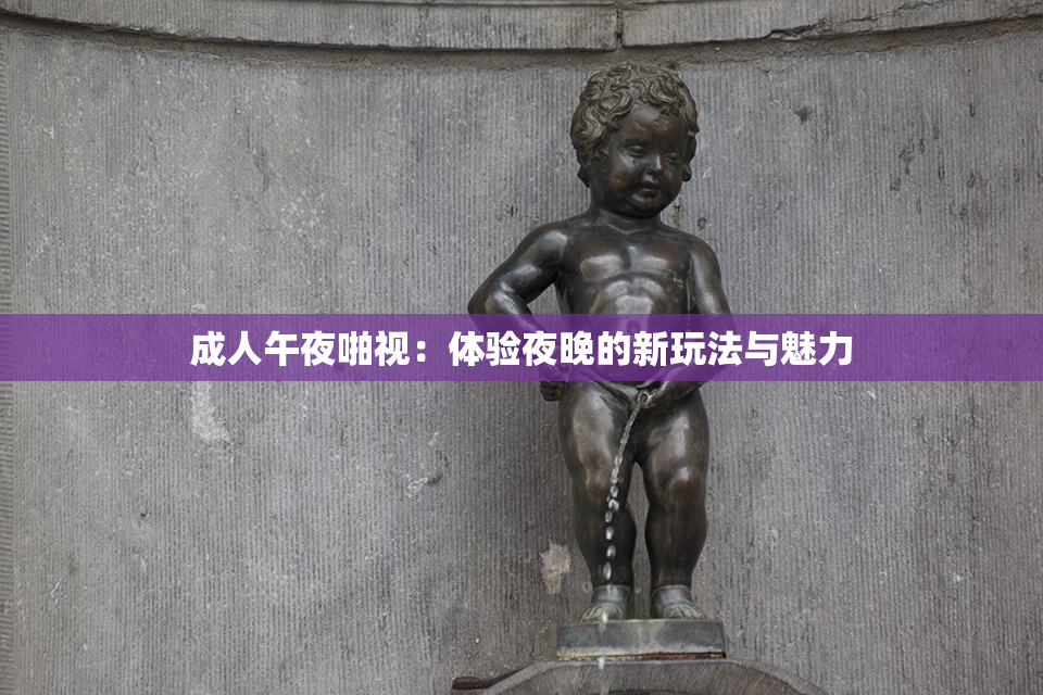成人午夜啪视：体验夜晚的新玩法与魅力