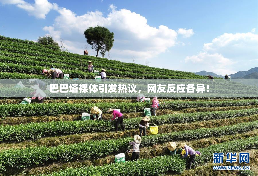 巴巴塔裸体引发热议，网友反应各异！